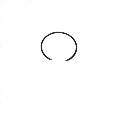 Picture of Ring - Snap