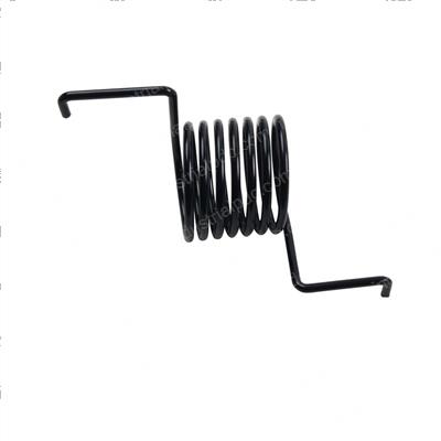 Picture of Spring - Torsion
