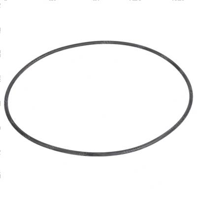 Picture of O-Ring