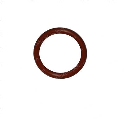 Picture of O-Ring