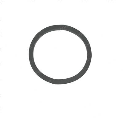 Picture of Seal