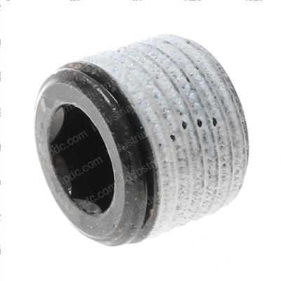 Picture of Plug Screw