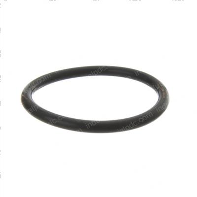 Picture of O-Ring