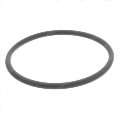 Picture of O-Ring