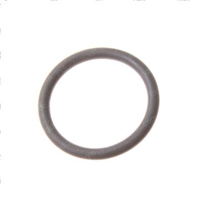 Picture of O-Ring