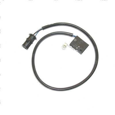 Picture of Switch - Micro