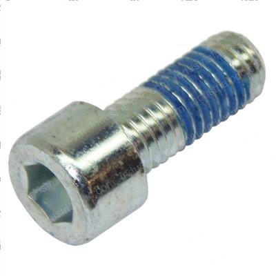 Picture of Screw-Cheesehead