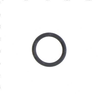 Picture of O-Ring