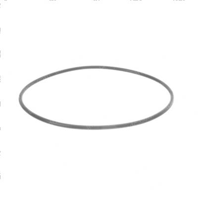 Picture of O-Ring