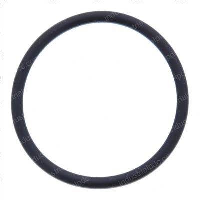 Picture of O-Ring
