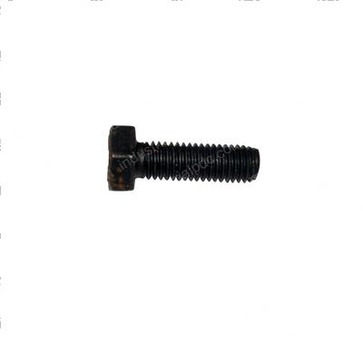 Picture of Capscrew