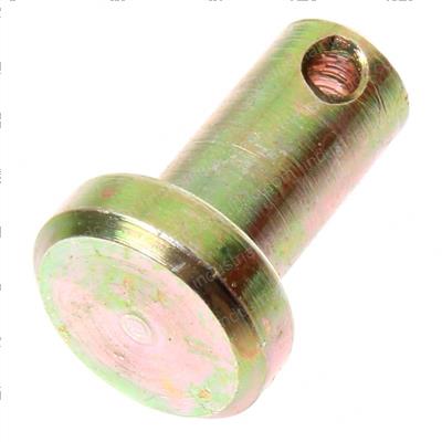 Picture of Bolt