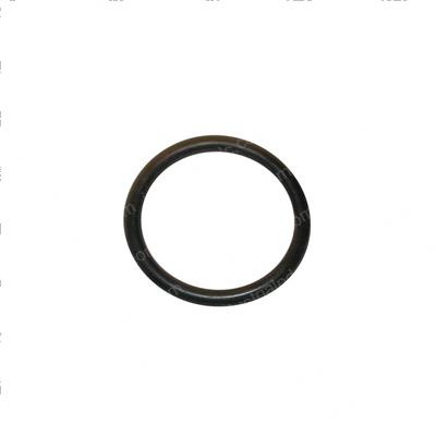 Picture of Seal - Oil