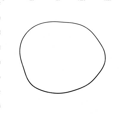 Picture of O-Ring