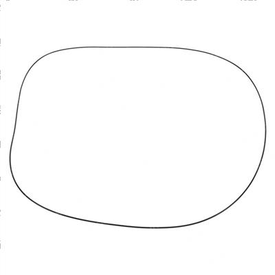 Picture of O-Ring