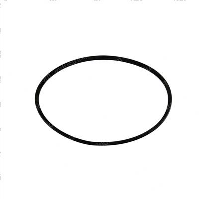 Picture of Ring - Spline Seal