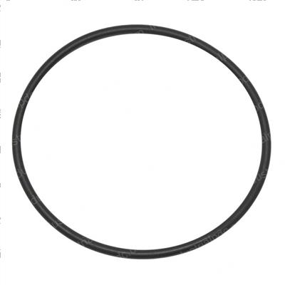 Picture of O-Ring