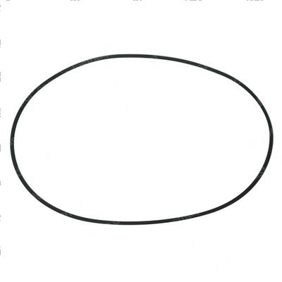 Picture of O-Ring
