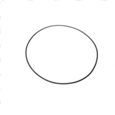 Picture of O-Ring