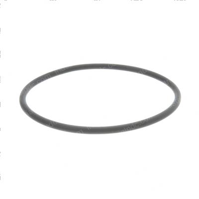 Picture of O-Ring