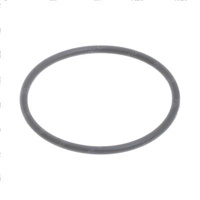 Picture of O-Ring
