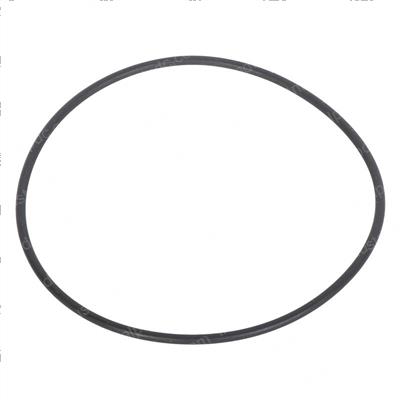 Picture of O-Ring