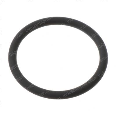 Picture of O-Ring
