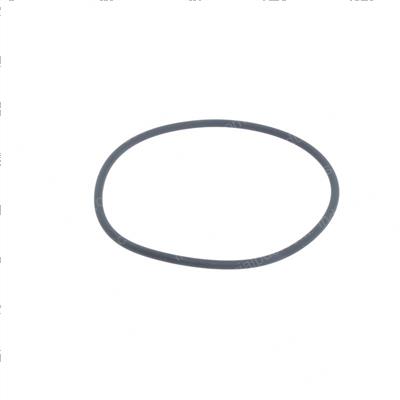 Picture of O Ring