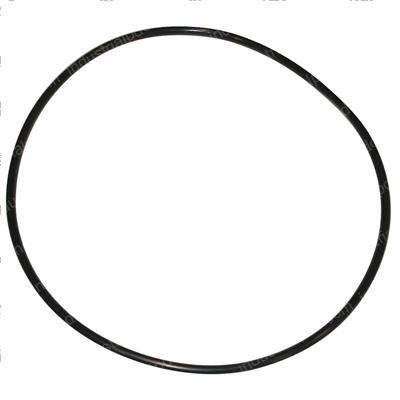Picture of O-Ring