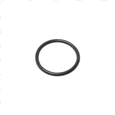 Picture of O-Ring
