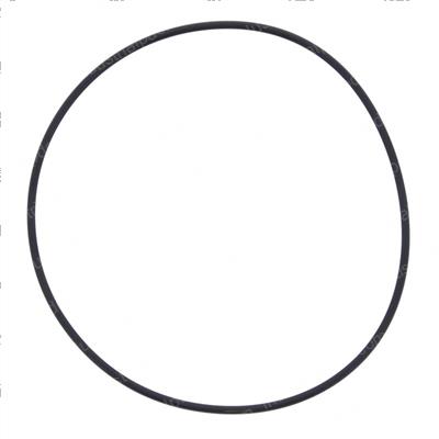 Picture of O-Ring
