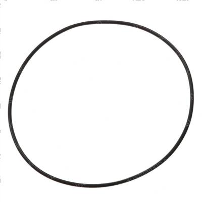 Picture of O-Ring