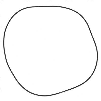 Picture of O-Ring