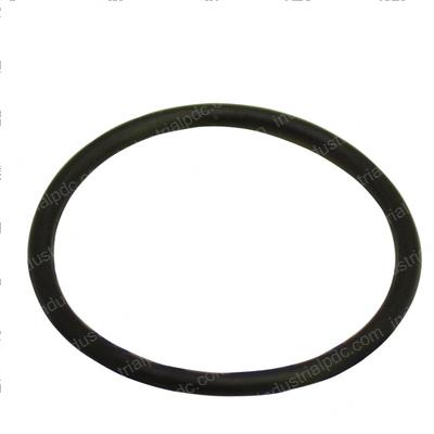 Picture of O-Ring