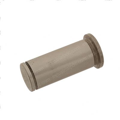 Picture of Pin