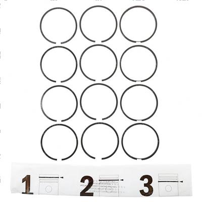 Picture of Ring Set - .040