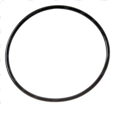 Picture of O-Ring