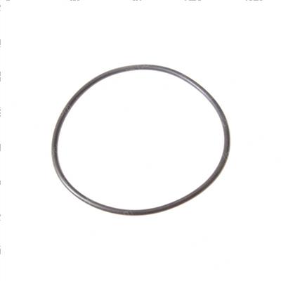Picture of O-Ring