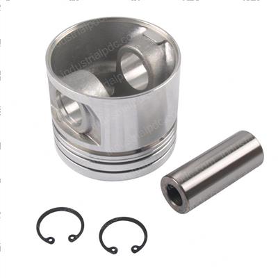 Picture of Piston - (std)