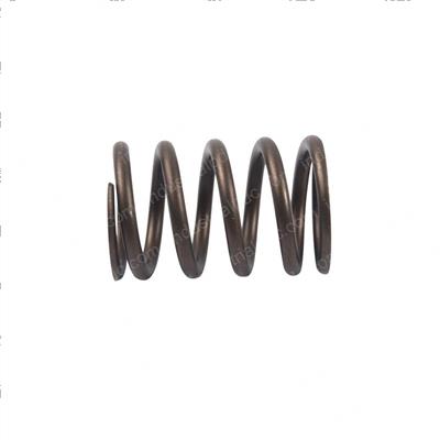 Picture of Valve Spring