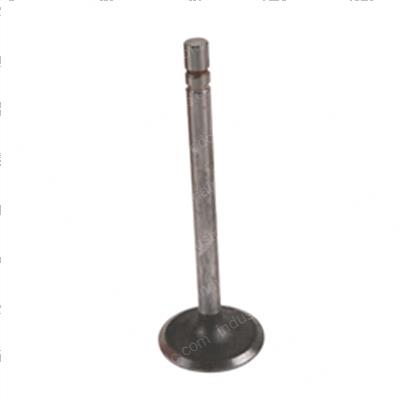 Picture of Valve - Intake