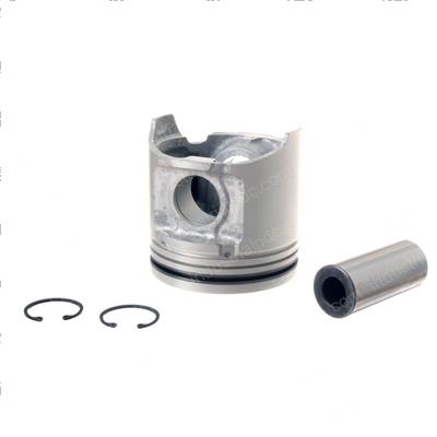 Picture of Piston W/Pin  Std (1)