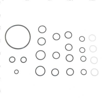 Picture of Seal Kit -  Cylinder Overhaul