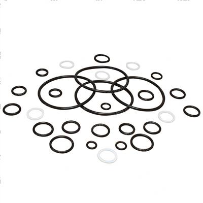 Picture of Seal Kit -  Cylinder Overhaul