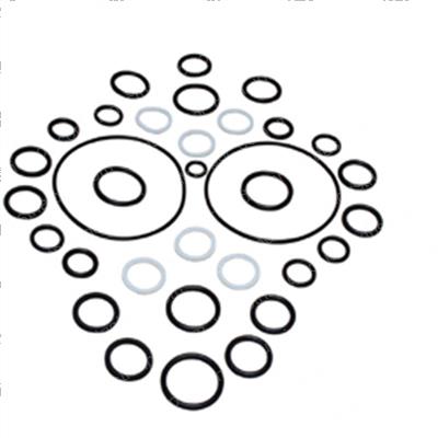 Picture of Seal Kit -  Cylinder Overhaul