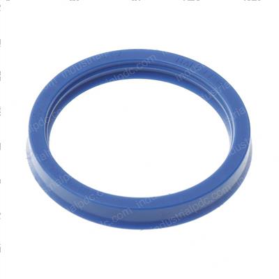 Picture of Seal - Lip