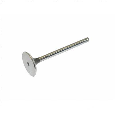 Picture of Valve Exhaust