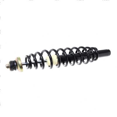 Picture of Strut Assy -  Frt