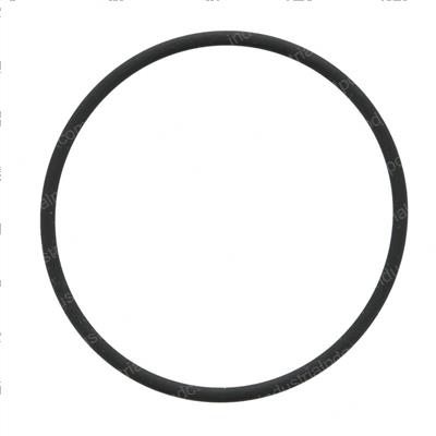 Picture of O-Ring