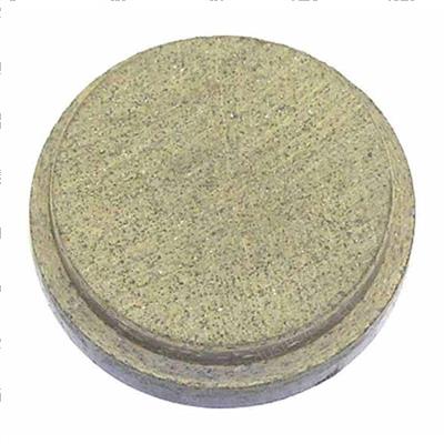 Picture of Puck